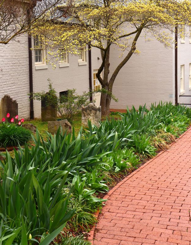 Brick Pathway Repair in Macon, GA
