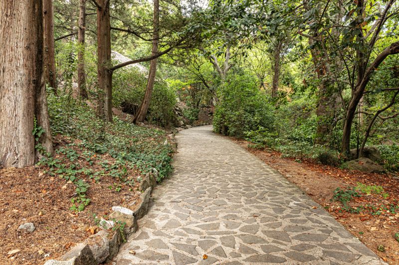 Stone Walkway Repair in Macon, GA