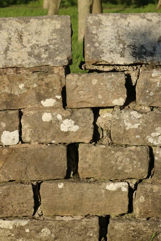 Stone Wall Repair in Fort Valley, GA